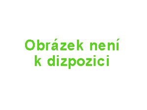 Filtrační koš 100 mikronů pro Cyclonx Filtrační koš 100 mikronů pro Cyclonx