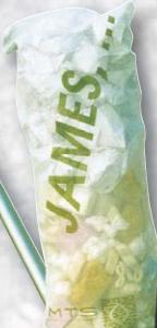 Filtrační vak pro JAMES – nylonová tkanina 100 mic, zip